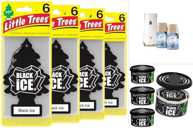 Detailed view of 10 Best Auto Air Fresheners That Actually Work Long-Term