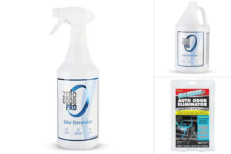 Detailed view of 10 Best Auto Odor Eliminators for a Fresh Car