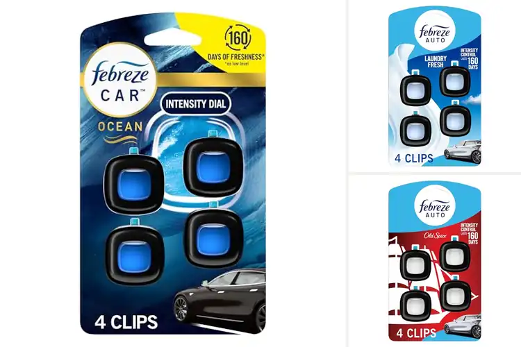 Detailed view of 10 Best Automotive Air Fresheners for a Fresh Ride