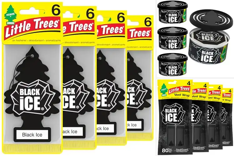 Detailed view of 10 Best Black Ice Air Fresheners Top Picks