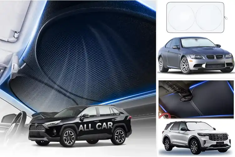 Detailed view of 10 Best Car Windshield Sunshades to Beat the Heat