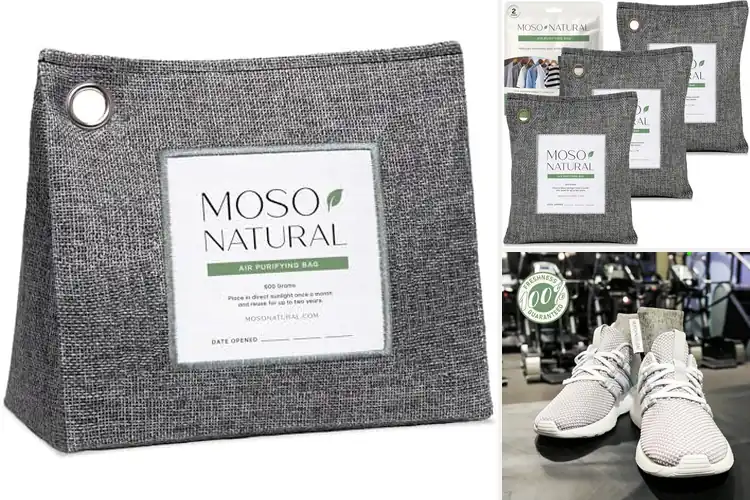 Detailed view of 10 Best Eco-Friendly Fresheners for a Healthier Home