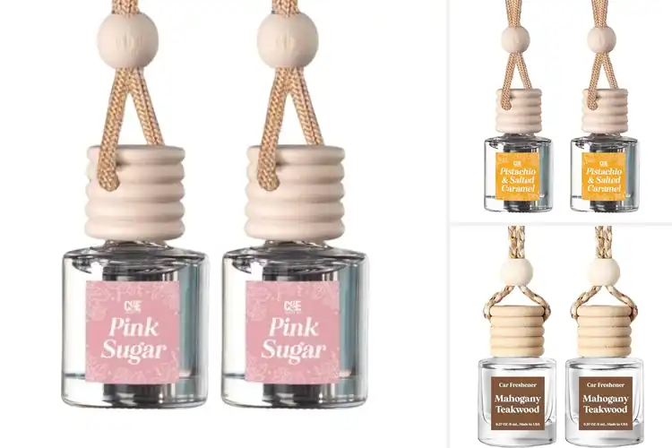 Detailed view of 10 Best Hanging Car Fresheners for a Refreshing Drive
