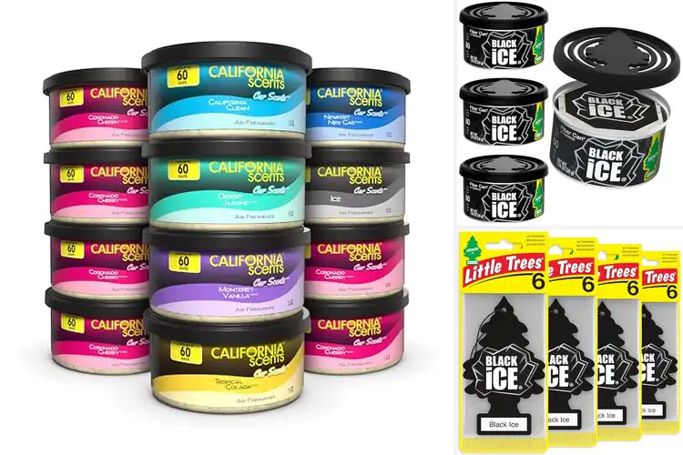 Detailed view of Best Home And Road Fresheners: Top Odor-Neutralizing Picks