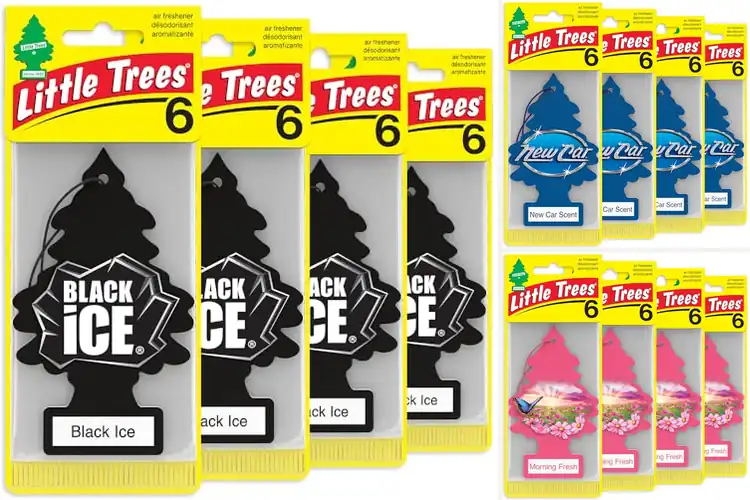 Detailed view of Best Little Trees Air Fresheners