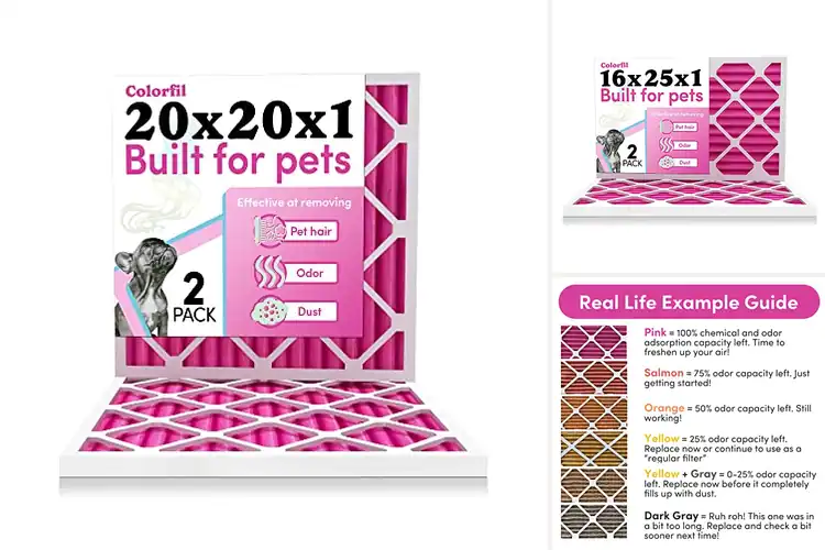 Detailed view of 10 Best Odor Defense Filters for Fresh, Clean Air